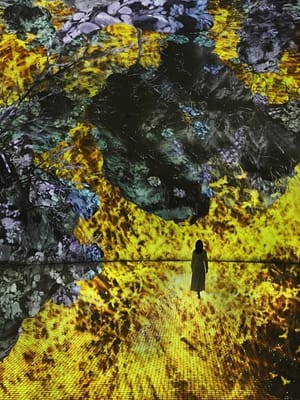 Shop Online TeamLab Phenomena + Yas Waterworld – Combo – Recently Added Experiences Dubai Masala