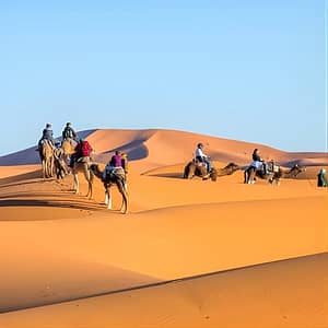 Shop Online 3 Day Sahara Desert Tour From Marrakech at Hôtel Restaurant Café de France, Marrakesh, Morocco Dubai Masala 5