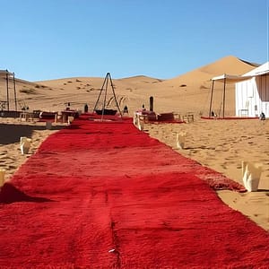 Shop Online 3 Days Merzouga Tour at فندق علي, Marrakesh, Morocco Dubai Masala 5