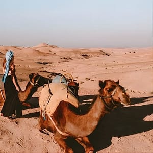 Shop Online Agafay Desert & Sunset Camel Ride From Marrakech at Hôtel Restaurant Café de France, Marrakesh, Morocco Dubai Masala 5