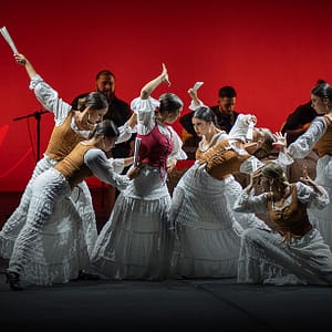 Shop Online Barcelona Flamenco Ballet – “Carmen” at Zabeel Theatre in Dubai – Shows and Theatrical Plays Dubai Masala 6