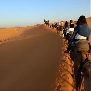 Shop Online Camel Trekking in Desert Merzouga for 1Night In Merzouga at Hôtel Ksar Merzouga, Marrakesh, Morocco Dubai Masala 5