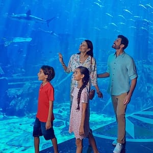 Shop Online Dubai Atlantis: Aquaventure Waterpark + Shark Safari or Snorkel Experience at Aquaventure Waterpark, Dubai, United Arab Emirates Dubai Masala 5