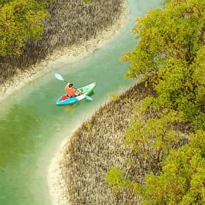 Shop Online Guided Kayak Tour in the Reem Central Park Mangroves – Water Sports Dubai Masala 5