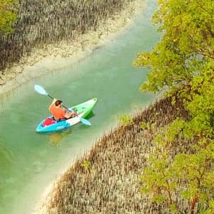 Shop Online Guided Kayak Tour in the Reem Central Park Mangroves – Water Sports Dubai Masala 6