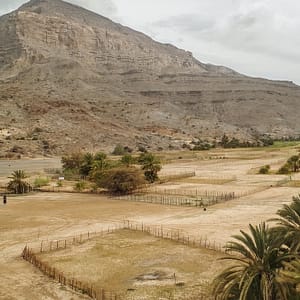 Shop Online Half-Day Mountain Safari to Jabel Harim – Must-see attractions Dubai Masala 5