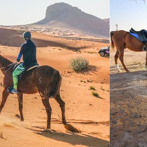 Shop Online Horse Back Riding Desert Hack – Sports Events Dubai Masala 6