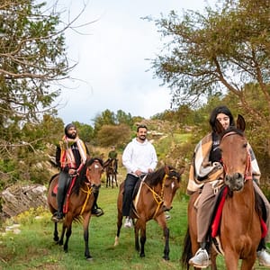 Shop Online Horse Riding Experience – Recently Added Experiences Dubai Masala 5