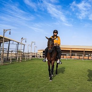 Shop Online Horse Riding at Al Marmoom Oasis With Transfer – Desert safaris Dubai Masala 5