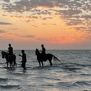 Shop Online Horse Riding in Jeddah – Experiences Dubai Masala 5