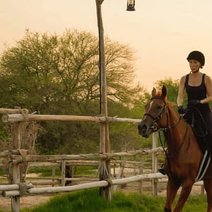 Shop Online Horse Riding with Open Buffet Dinner & Shows – Desert safaris Dubai Masala 5