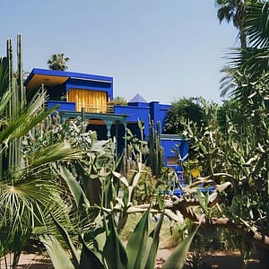 Shop Online Majorelle Garden Berber and Yves Saint Laurent Museum Entry at Jardin Majorelle, Marrakesh, Morocco Dubai Masala 5