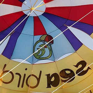 Shop Online Parasailing Adventure on Jumeirah Beach with Sea Bird water Sports Dubai at Al Rahim masjid, Dubai, United Arab Emirates Dubai Masala 5
