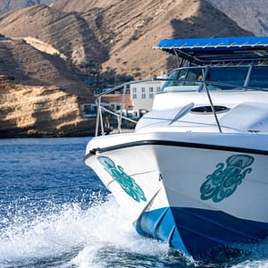 Shop Online Private group Boating Experience with Dolphins Watching & Snorkeling – Sightseeing and Tours Dubai Masala 5