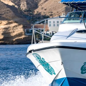 Shop Online Private group Boating Experience with Dolphins Watching & Snorkeling – Sightseeing and Tours Dubai Masala 6