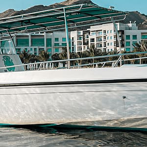 Shop Online Private group Boating Experience with Snorkeling and Coastal Experience – Sightseeing and Tours Dubai Masala 5