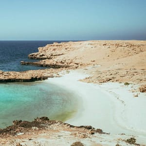Shop Online Private group tour of Daymaniyat Islands – Sightseeing and Tours Dubai Masala 6