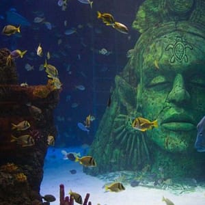 Shop Online SEA LIFE Manchester Entry Ticket – Theme Parks Dubai Masala 5