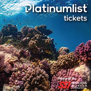 Shop Online Snorkeling Daily Trips in Jeddah – Attractions Special Offers Dubai Masala 5