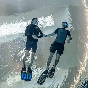 Shop Online Snorkeling at Deep Dive Dubai at Deep Dive Dubai, Dubai, United Arab Emirates Dubai Masala 5