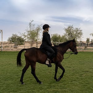 Shop Online Sunset Horse Riding at Al Marmoom Oasis with a 6-Course Bedouin Dinner – Outdoor Attractions Dubai Masala 5