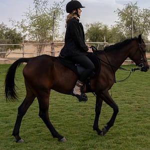 Shop Online Sunset Horse Riding at Al Marmoom Oasis with a 6-Course Bedouin Dinner – Outdoor Attractions Dubai Masala 6