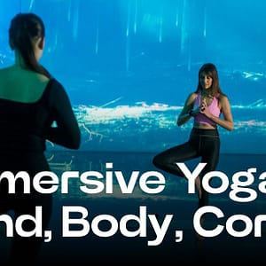 Shop Online ToDA – Immersive Yoga with Seetal: Mind, Body, Core – Theatre of Digital Art Dubai Masala 6