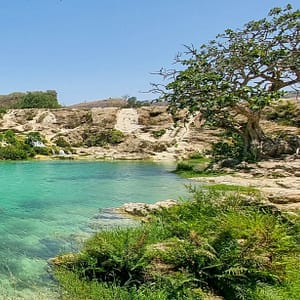 Shop Online Eid: Explore Salalah – Sightseeing and Tours Dubai Masala 6