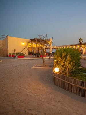 Shop Online Day Pass at Al Majles Resort with Lunch/Dinner – Sightseeing and Tours Dubai Masala