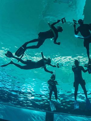 Shop Online Deep Dive Dubai Surface Snorkeling Experience – Water Sports Dubai Masala