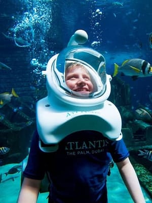 Shop Online Dubai Atlantis: Aquaventure Waterpark + Shark Safari or Snorkel Experience at Aquaventure Waterpark, Dubai, United Arab Emirates Dubai Masala