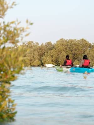 Shop Online Guided Kayak Tour in the Mangroves at Sea Hawk Water Sports & Adventures – Eastern Mangroves, Abu Dhabi, United Arab Emirates Dubai Masala