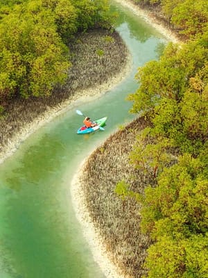 Shop Online Guided Kayak Tour in the Reem Central Park Mangroves – Water Sports Dubai Masala