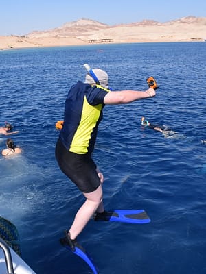 Shop Online Half-day Snorkeling Boat trip with lunch and drinks from Sharm El Sheikh – Sightseeing and Tours Dubai Masala