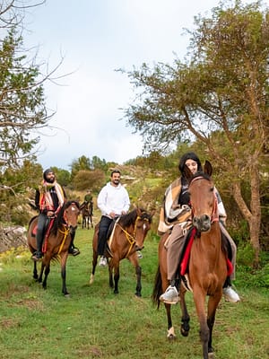 Shop Online Horse Riding Experience – Recently Added Experiences Dubai Masala