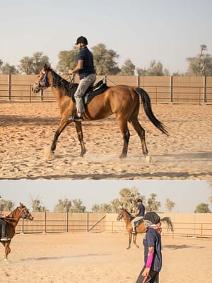 Shop Online Horse Riding Training Course One Session – Sports Events Dubai Masala