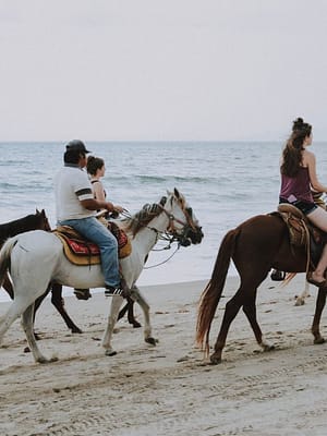 Shop Online Horse Riding in Jeddah – Experiences Dubai Masala
