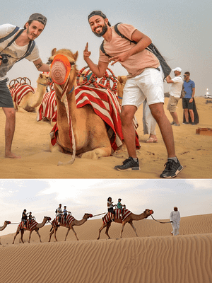 Shop Online Morning Desert Safari Dubai with Dune Bashing, Sand Boarding & Camel Ride – Desert safaris Dubai Masala