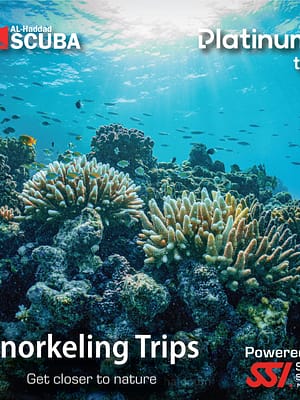 Shop Online Snorkeling Daily Trips in Jeddah – Attractions Special Offers Dubai Masala