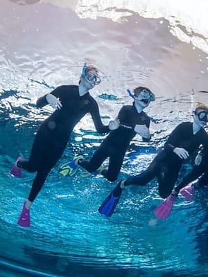 Shop Online Snorkeling at Deep Dive Dubai at Deep Dive Dubai, Dubai, United Arab Emirates Dubai Masala