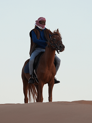 Shop Online Storm Adventure – Daily Camp – Top-Rated Attractions Dubai Masala
