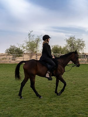 Shop Online Sunset Horse Riding at Al Marmoom Oasis with a 6-Course Bedouin Dinner – Outdoor Attractions Dubai Masala