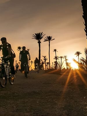 Shop Online The Palmery Off-Road Bike Tour from Marrakech at M2MM+J3V, Marrakesh, Morocco Dubai Masala