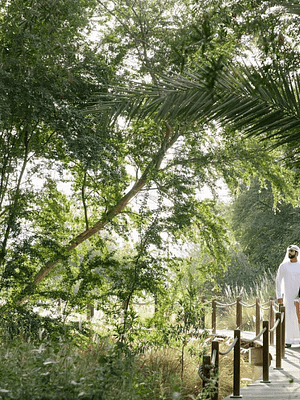 Shop Online Al Noor Island – Sharjah – Attractions Special Offers Dubai Masala