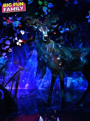 Shop Online Big Fun Museum – Top-Rated Attractions Dubai Masala