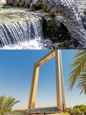 Shop Online Crocodile Park Special Offer Combos – Upto 30% OFF – Attractions Special Offers Dubai Masala