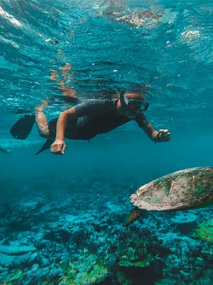 Shop Online Dive & Snorkel Trips in Fujairah – Water Sports Dubai Masala