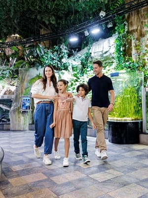 Shop Online Dubai Aquarium & Underwater Zoo – Ultimate Experience – Experiences Dubai Masala