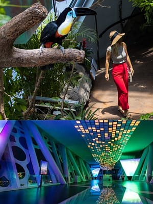 Shop Online Dubai Frame + The Green Planet Dubai – Combo – Must-see attractions Dubai Masala