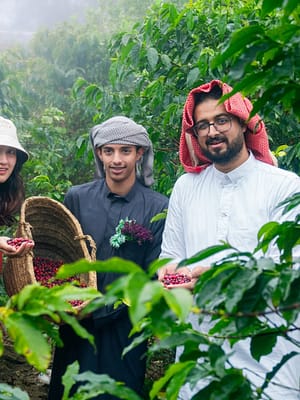 Shop Online From Arabica to Arabian – Coffee Experience at a local farm – Recently Added Experiences Dubai Masala